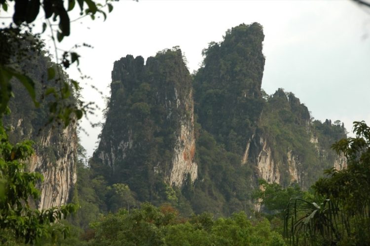 Ridges and Rain Forests - Khao Sok