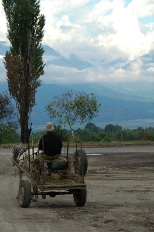 Man on a Donkey Cart - Kakheti, Georgia