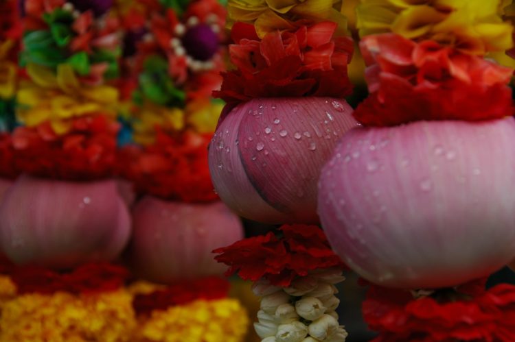 Flower Offerings at Hindu Temple 