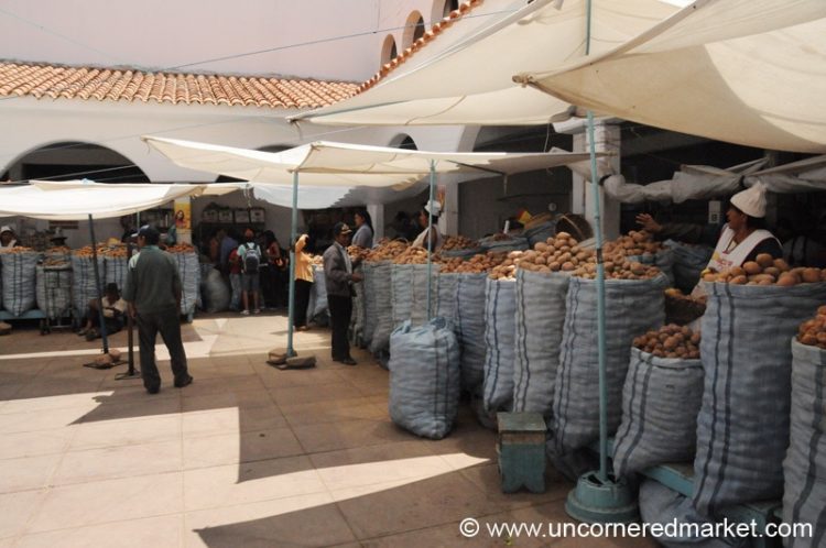 Potato Courtyard - Sucre