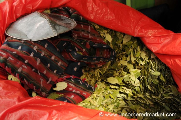 Coca Leaves of Bolivia