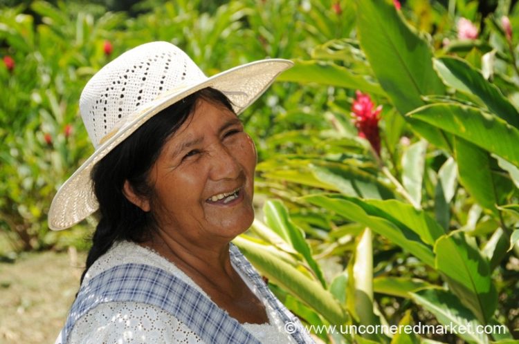 Tropical Flowers of Bolivia