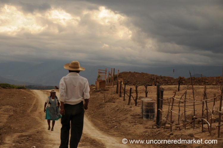 Crossing Paths – Tarija