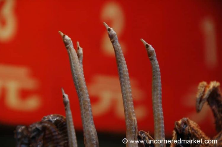 Seahorses for Dinner - Beijing, China