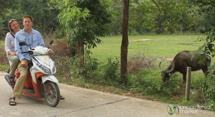 Riding Around Koh Samui on a Motorbike