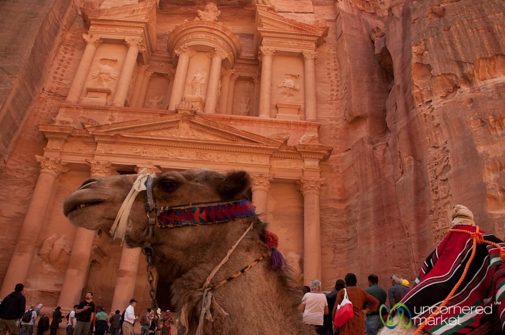 A Camel's View of the Treasury at Petra, Jordan