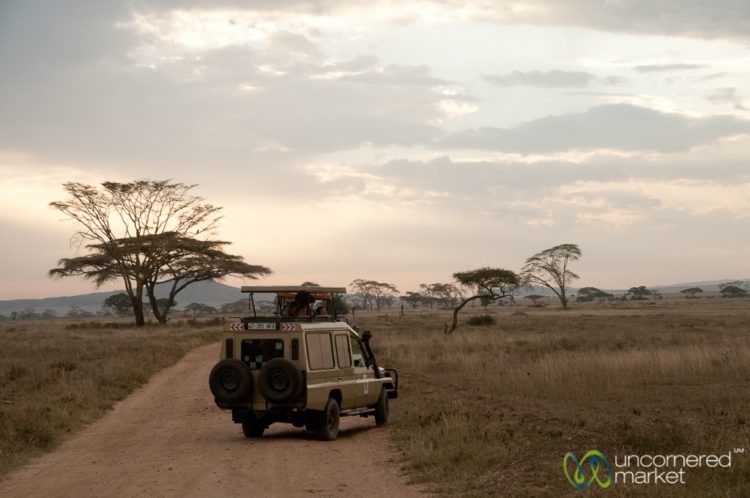 Safari in the Serengeti