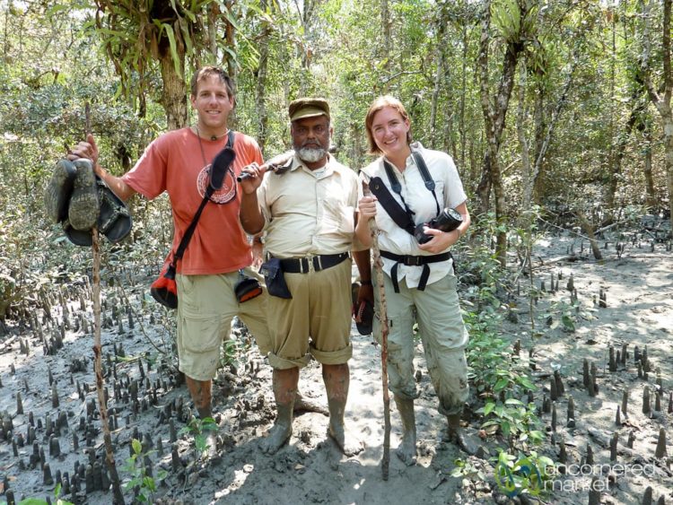 Trekking through the Mangrove Forests of the Sundarbans - Bangla