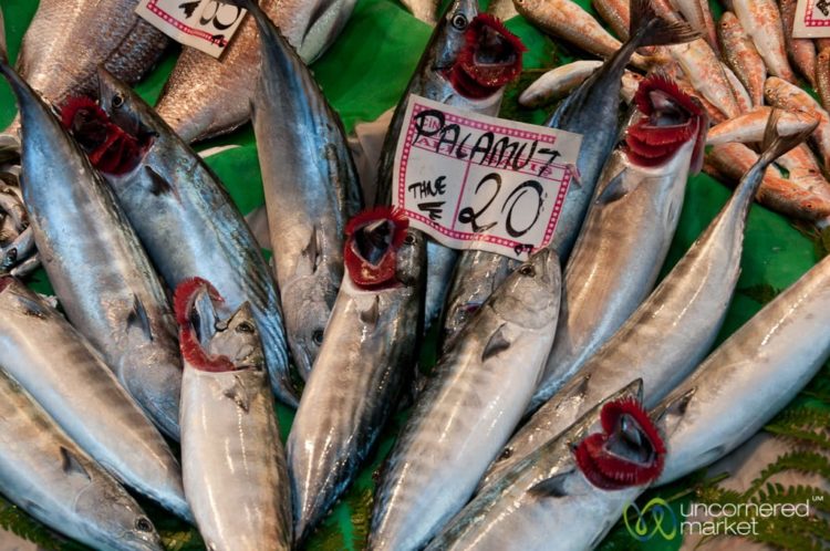 Fish Stand Near Istiklal Avenue - Istanbul, Turkey