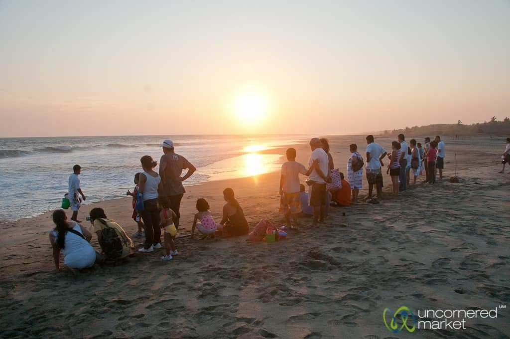 Lined up for Turtle Liberation - Playa La Ventanilla, Mexico