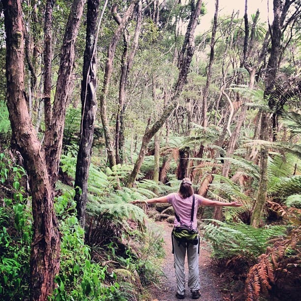 "Get amongst it!" - Audrey grabs a bit of junglelicious New Zealand rainforest