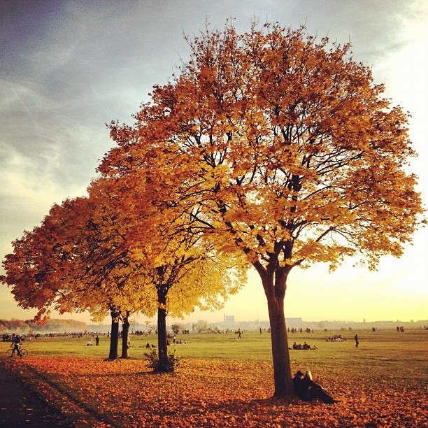 Autumn Days at Tempelhof Park