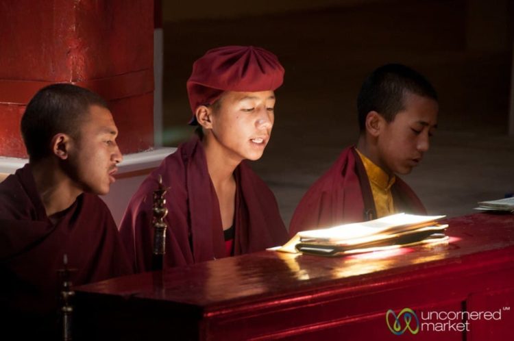 Novice Buddhist Monks at Hemis Monastery, Ladakh