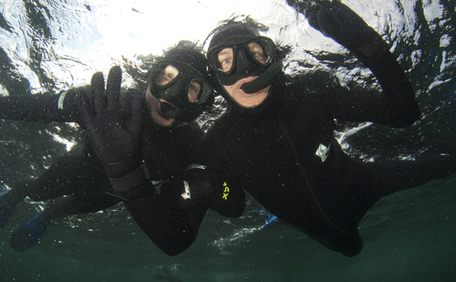Cape Town Snorkeling