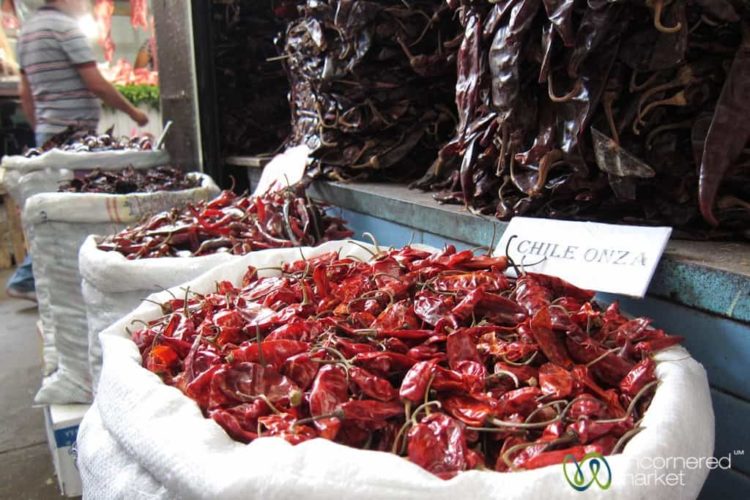 Oaxaca Chili Peppers