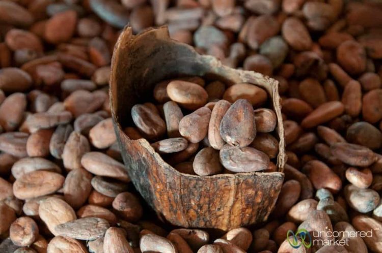 Oaxaca Chocolate