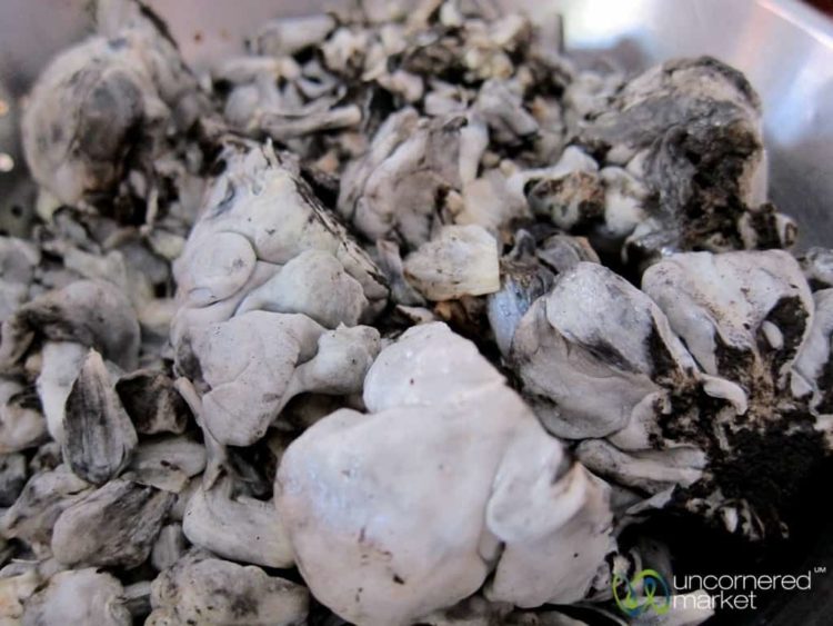 Oaxaca Food, Huitlacoche