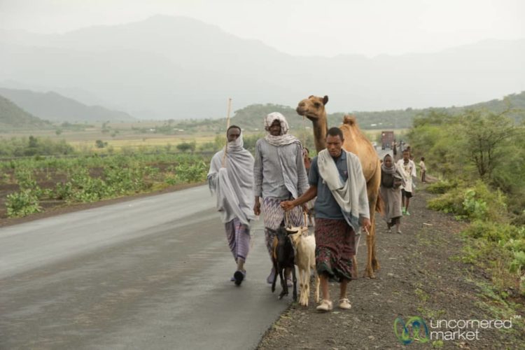 Ethiopian Road Scenes, Camels and All