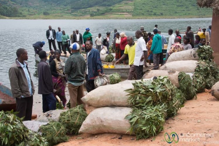 Sacks of Charcoal at Lake Bunyonyi Market - Uganda
