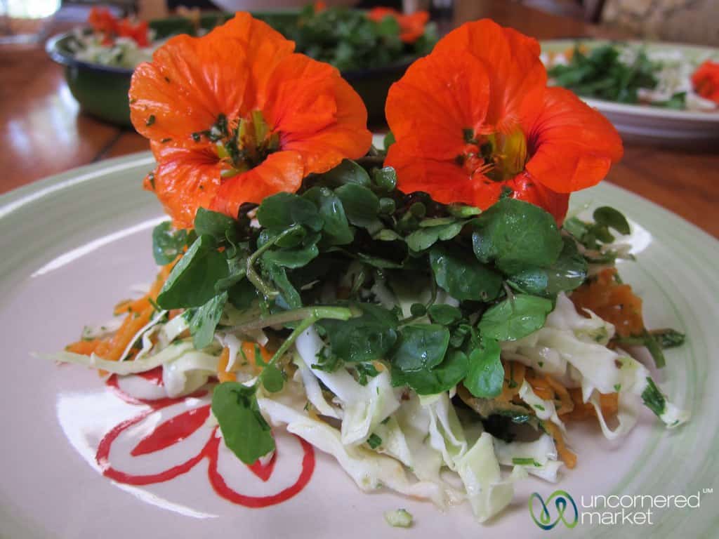 Haitian Food, Watercress Salad