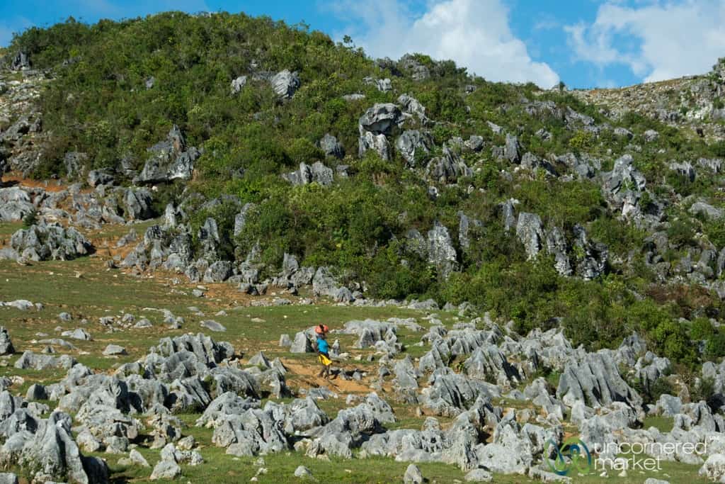 Rock Formations and Erosion - Haiti