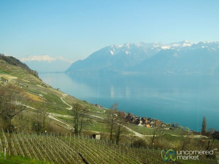 Vineyards and Snow-Capped Mountains - Near Lausanne, Switzerland