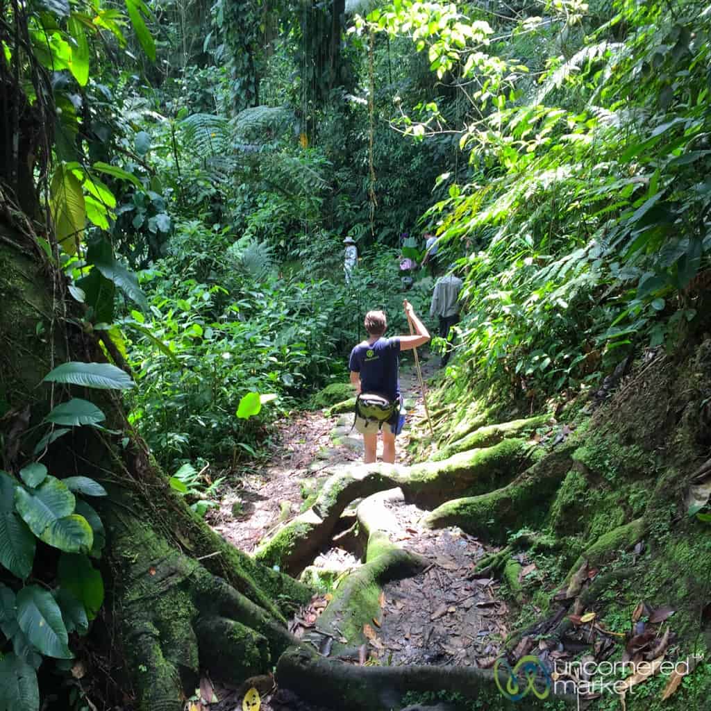 Lost City Trek, Tropical Forest Trails