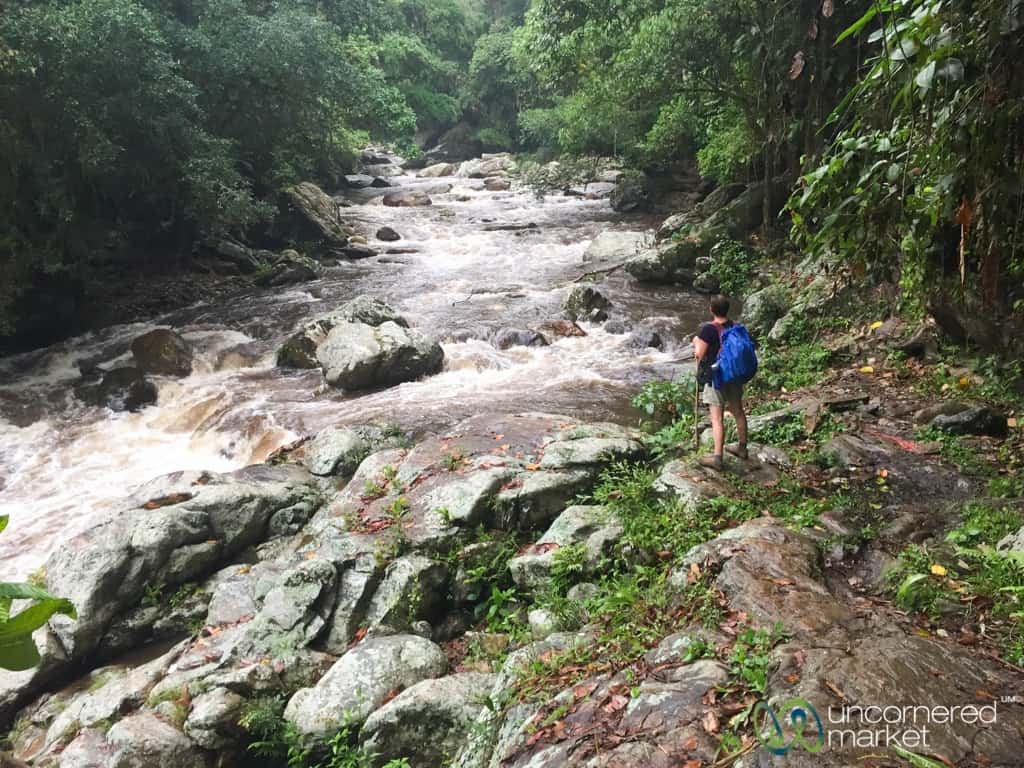 Rivers along the Lost City Trek, Colombia.