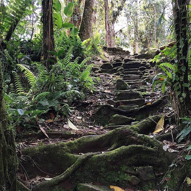 Lost City Trek, Stairs Leading to Teyuna
