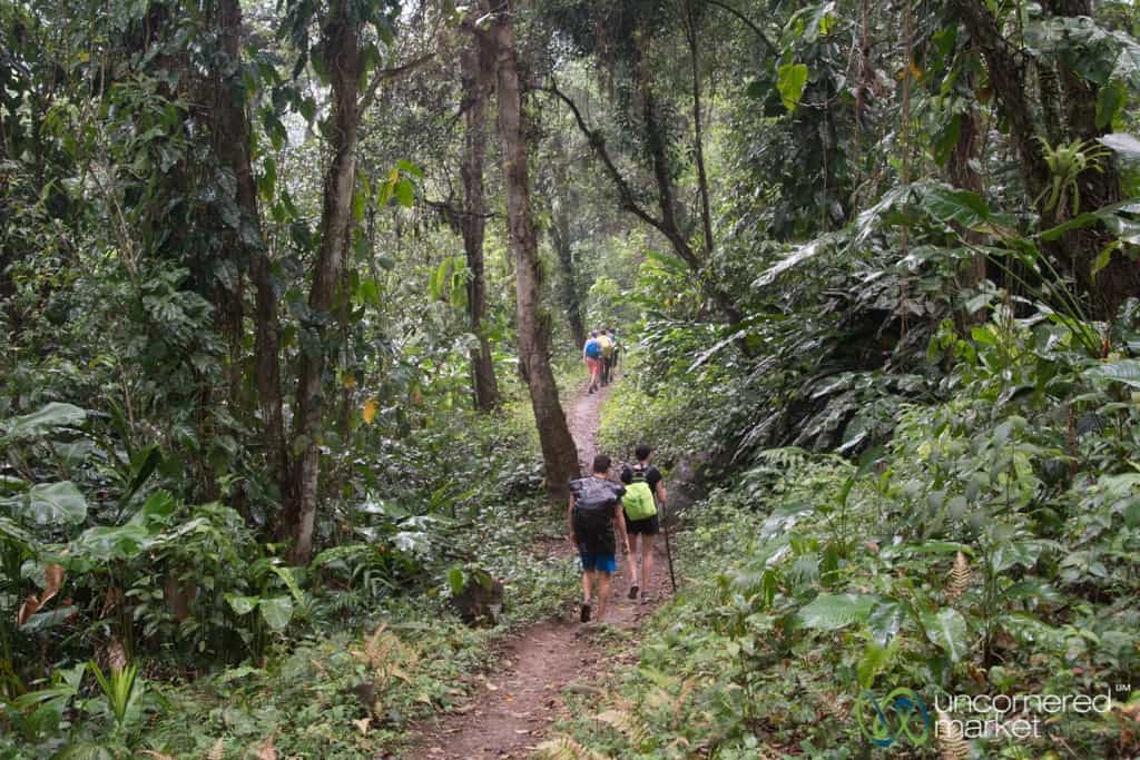 Lost City Trek, rain in the tropical forest