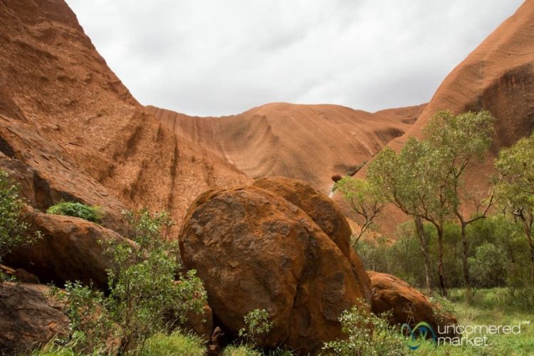Australia Vacation, Kuniya Walk at Uluru
