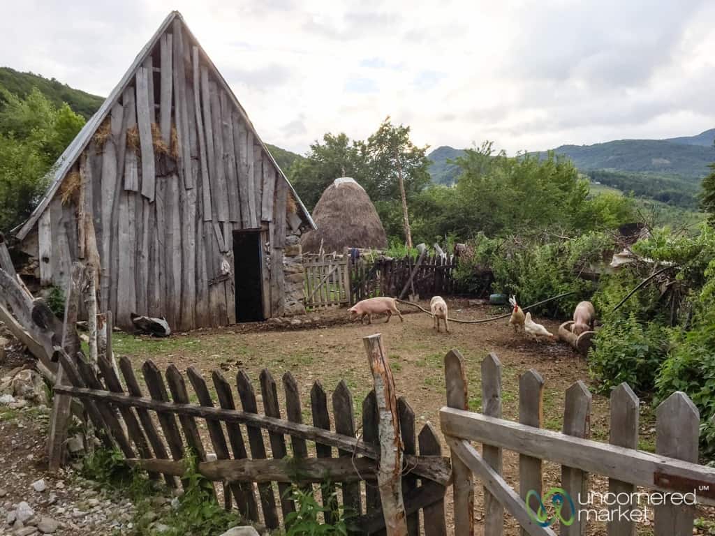 Albanian Trekking, Homestay Family in Lepushe