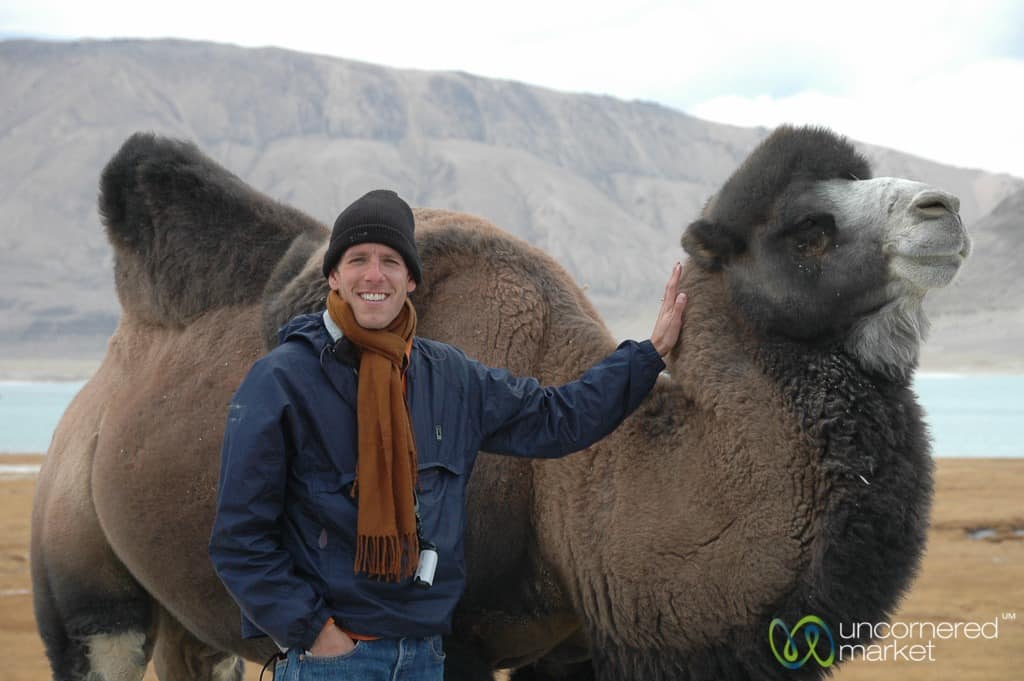 Central Asia Guide, Bactrian Camel in the Pamir Mountains