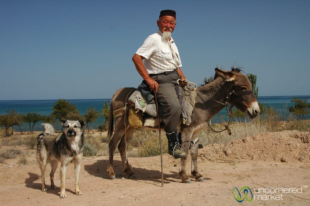Central Asia Guide, Shepherd in Kyrgyzstan
