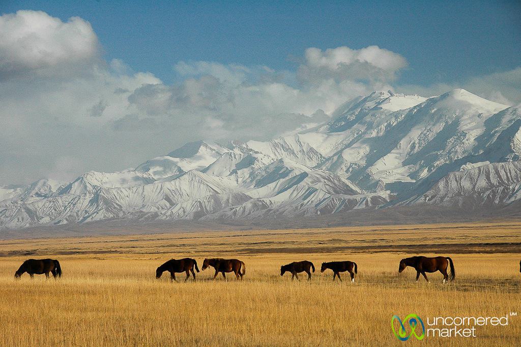 Offbeat Holiday Destinations, Mountains Kyrgyzstan