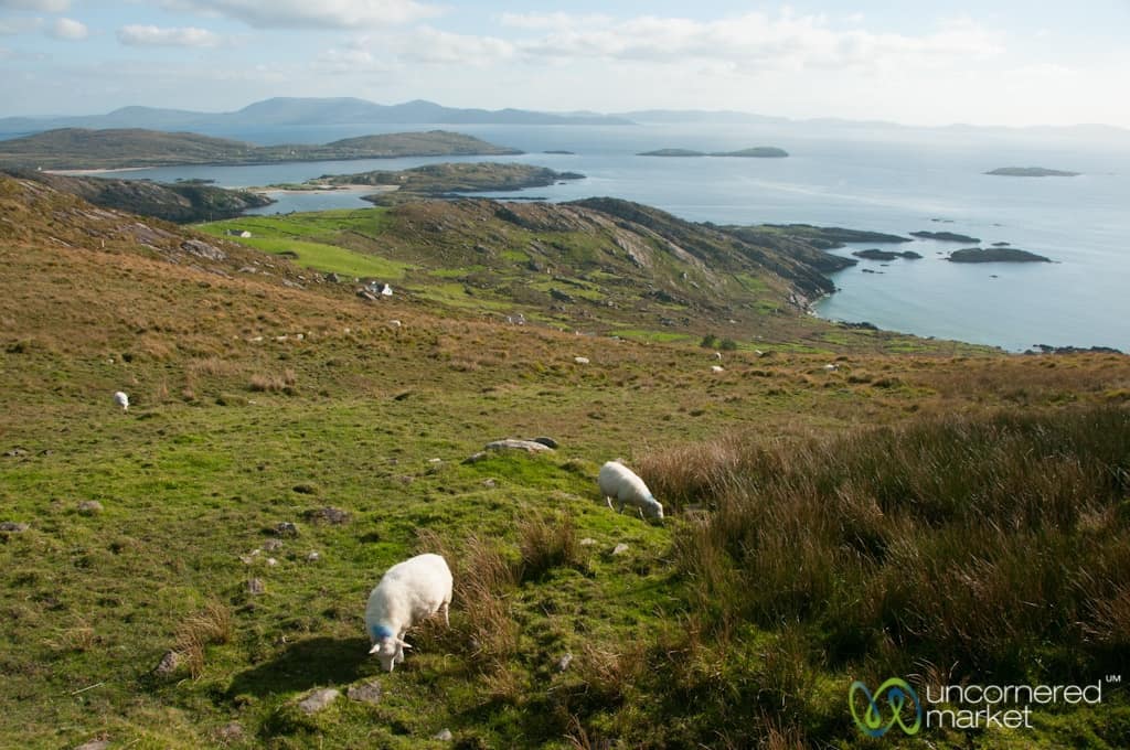 Ireland Road Trip, Ring of Kerry