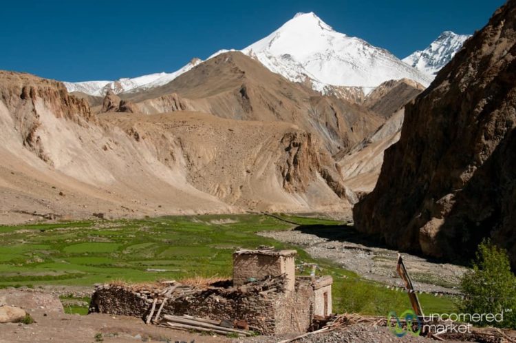 Ladakh Markha Valley Trek Views