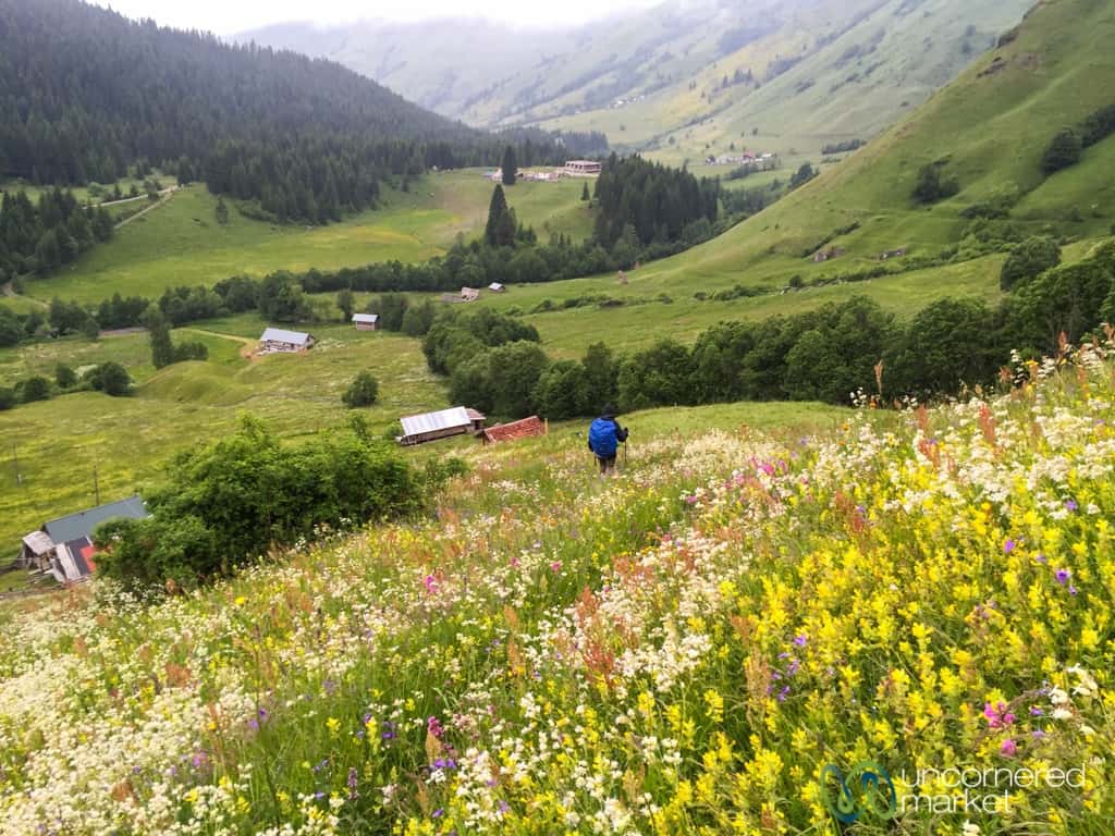 Balkan Trekking, Wildflowers
