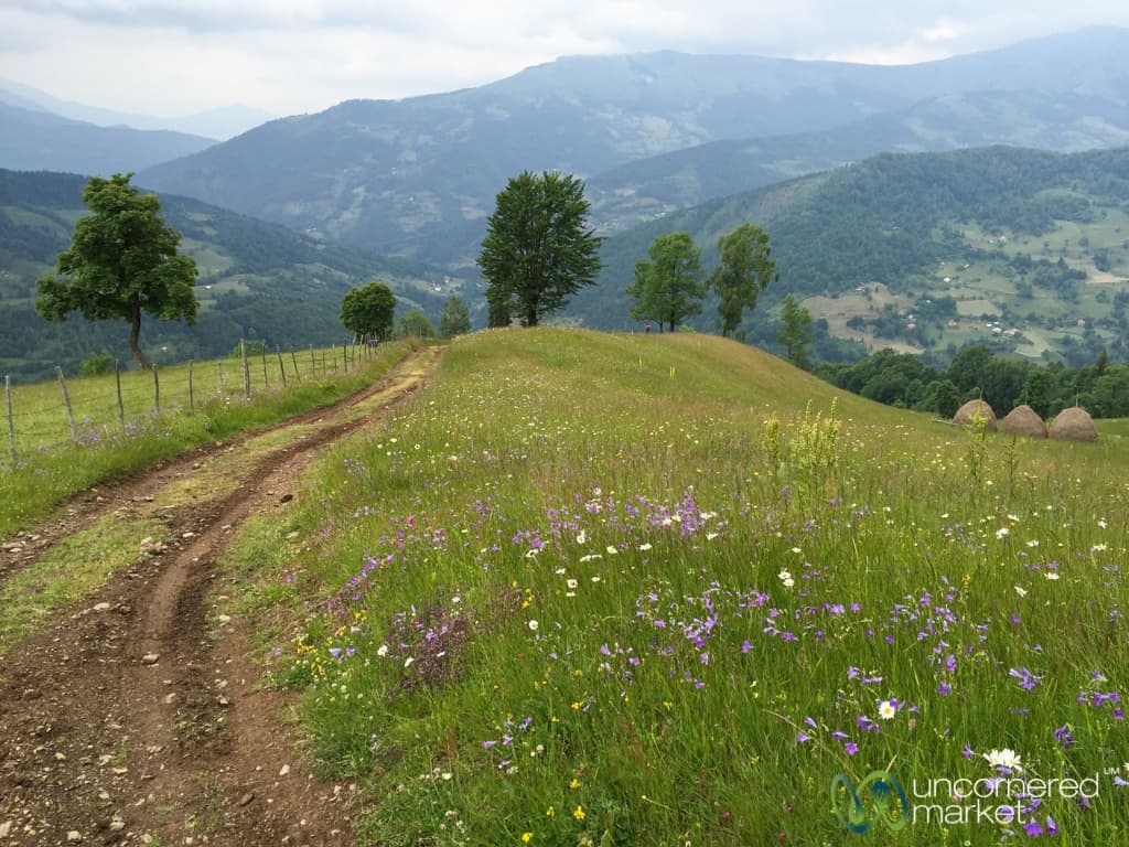 Peaks of the Balkans Trek, Montenegro Trails