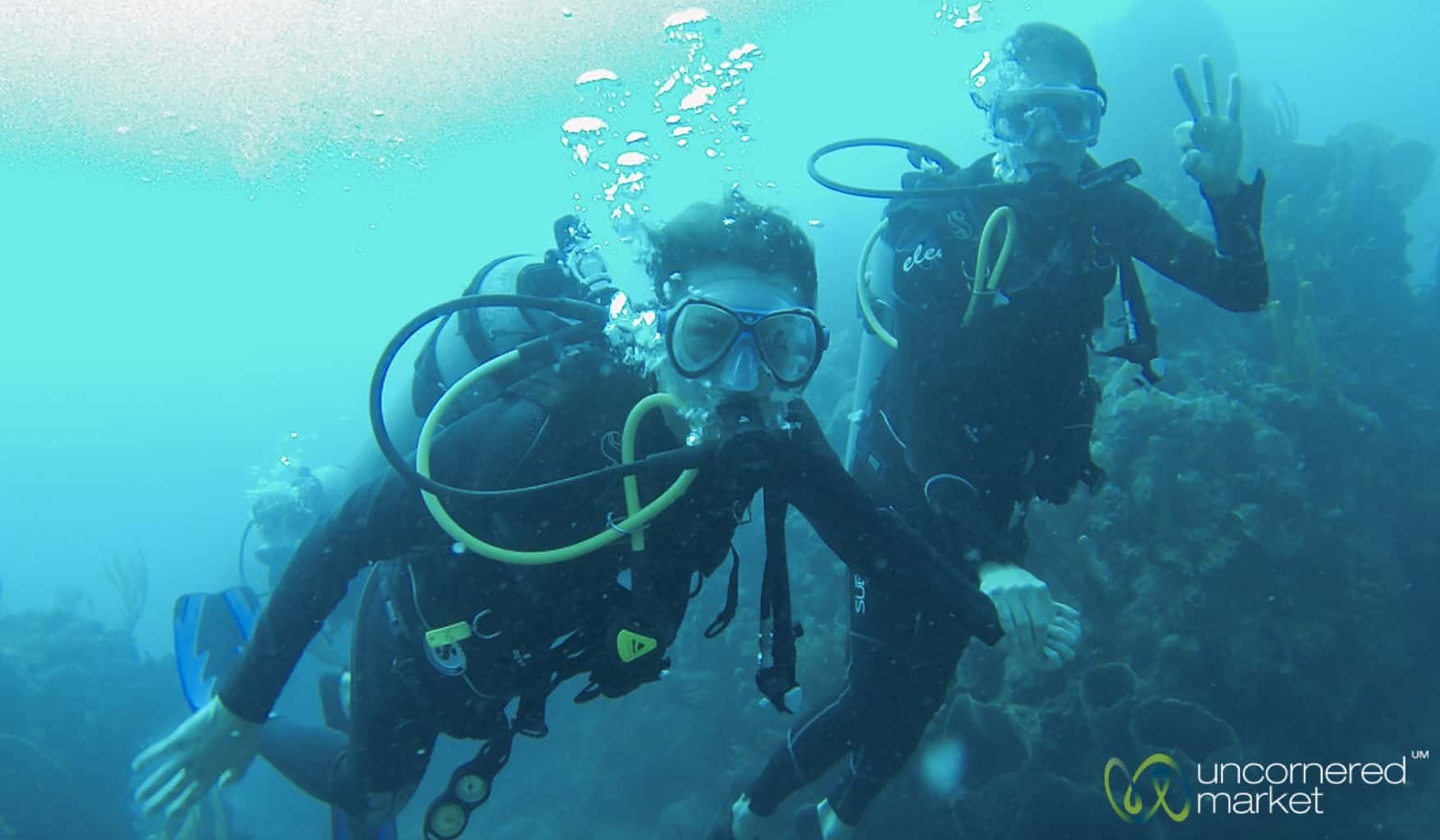 Saba Scuba Diving