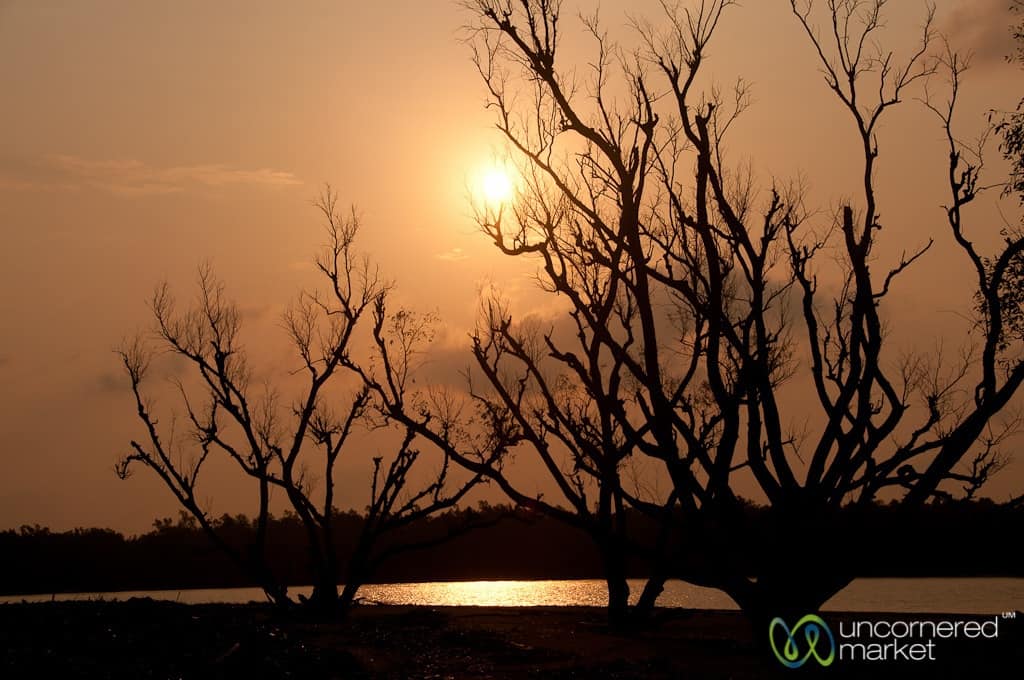 Bangladesh Travel, Sundarbans Tour