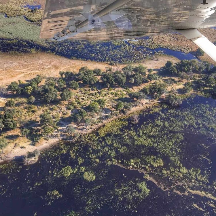 Botswana Okavango Delta
