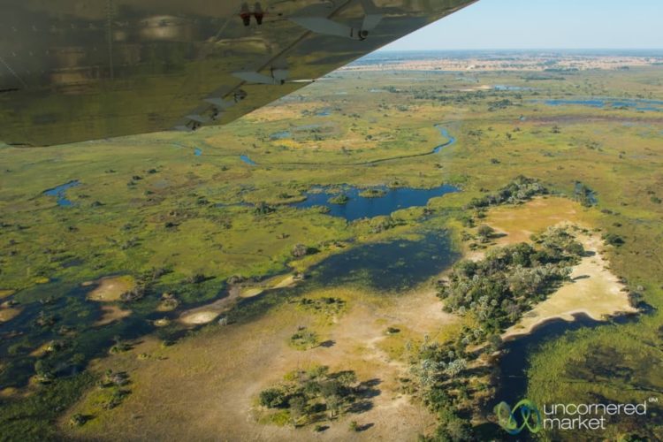 Okavango Delta from Above, Bush Plane