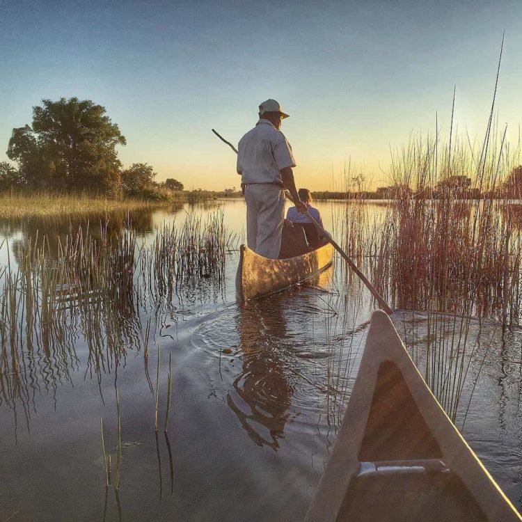 Okavango Delta, Boat Ride at Dusk