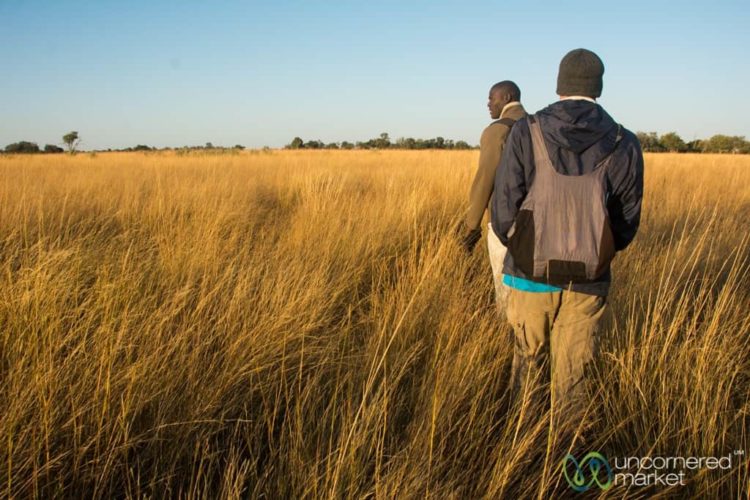 Okavango Delta, Walking Safari