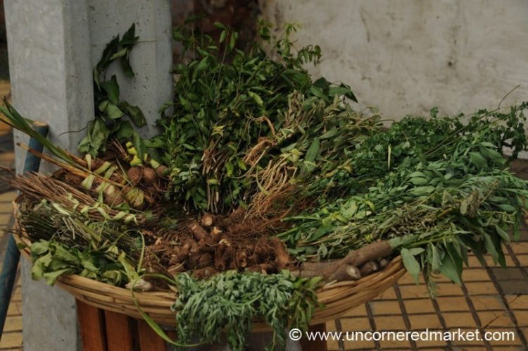 Paraguay Travel, Terere Herbs