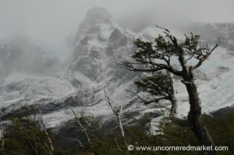 Torres del Paine, Crazy Winds and Weather
