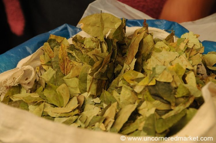 Bolivia Travel, Coca Leaves