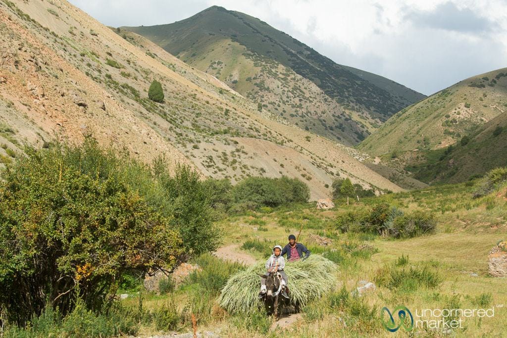 Trekking in the Alay Mountains - Heights of Alay Trek, Kyrgyzstan 