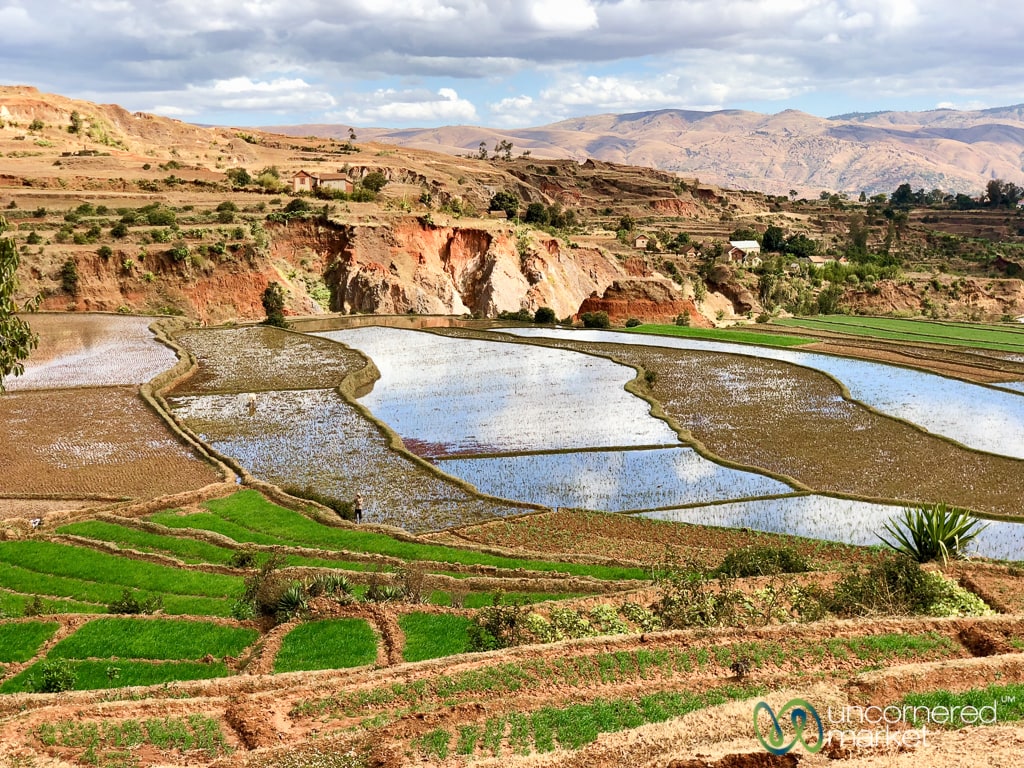 Madagascar Travel, Terraced Rice Fields in the Highlands
